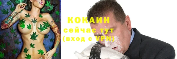 ALPHA-PVP Вяземский