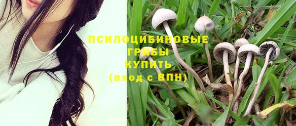 синтетический гашиш Володарск