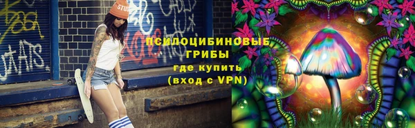 ALPHA-PVP Вяземский