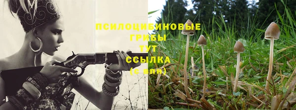 МДПВ Вязники