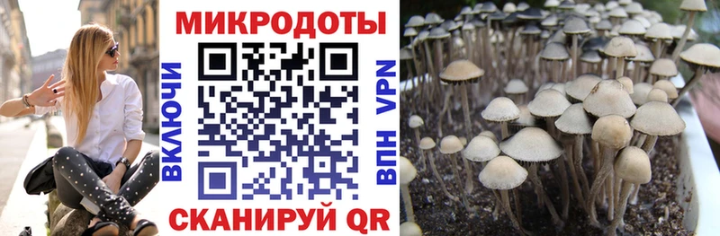 Купить закладки  Любань  Галлюциногенные грибы Magic Shrooms 